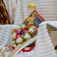 Daily Darshan